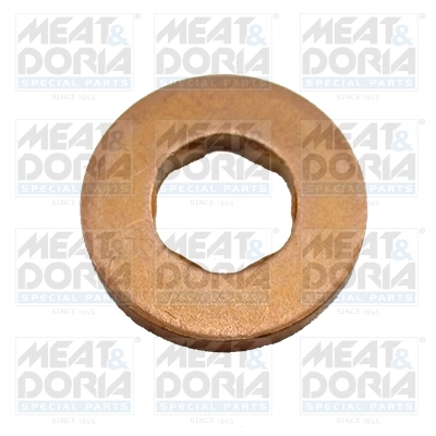 Seal, injector holder